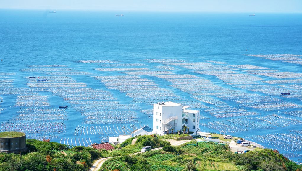 枸杞岛海上牧场
