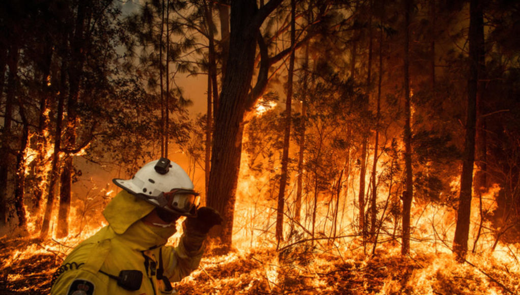 bushfire