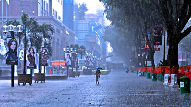 Rain-Photography-9
